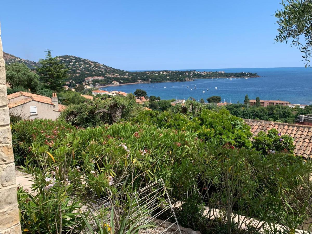 大湾别墅 Saint-Raphaël 外观 照片